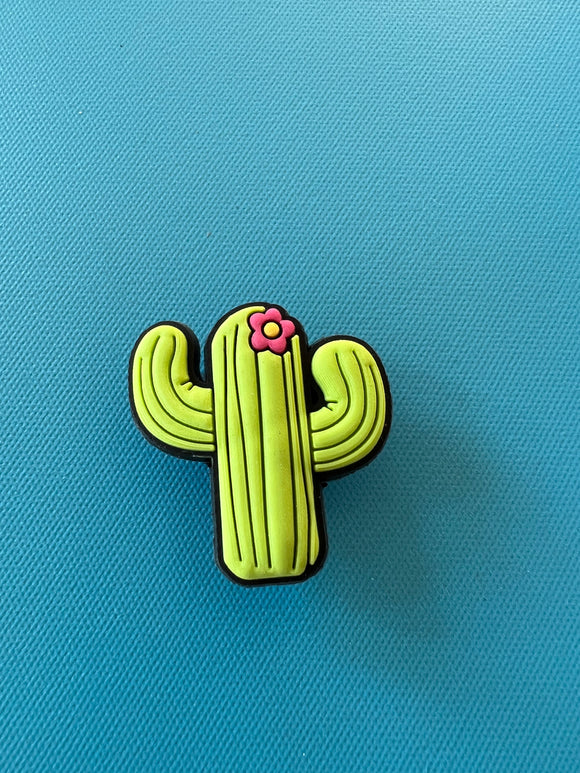 Cactus Charm