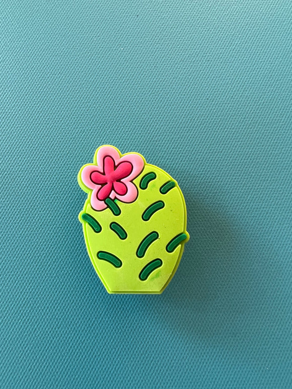 Cactus Charm